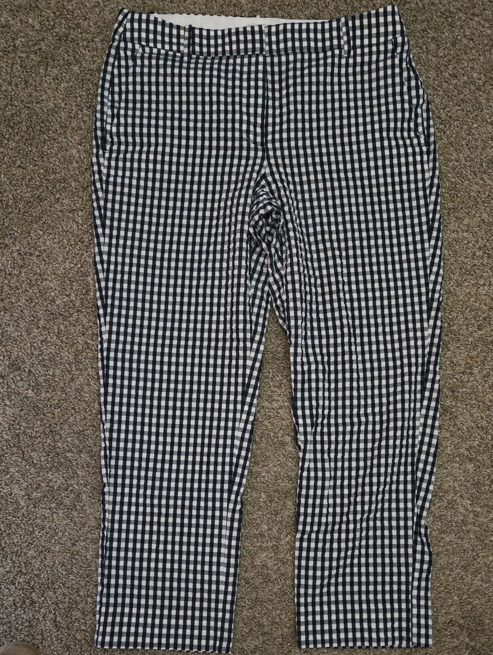 J. Crew Blue and White Gingham Cotton Pants